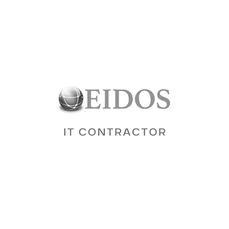 Eidos IT Contractor Logo with a globe symbolizing connection